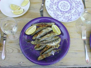 frischer Fisch in Barca