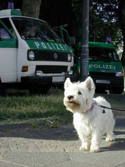 Polizeiwagen