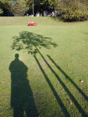 Schatten im Park