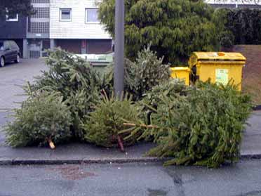 Tannenbaum-Friedhof