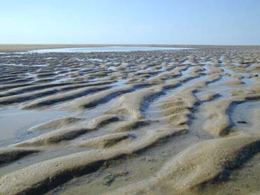 Wasser im Sand