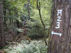 Wandern in Deutschland