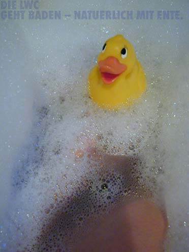 Ente im Wasser