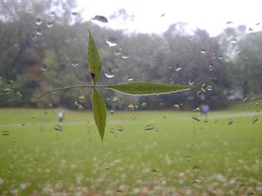 Das Blatt fährt mit