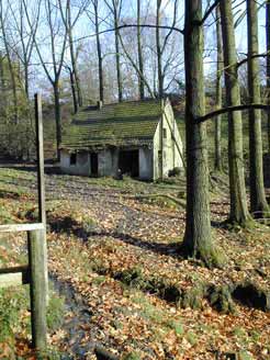 Villa im Wald